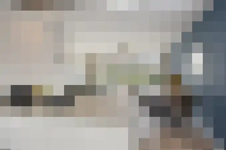 Bornkamp 19 Heerde thumbnail 15