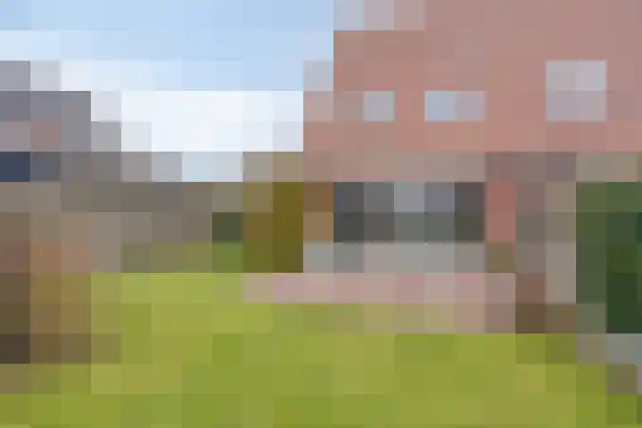 Bornkamp 19 Heerde thumbnail 33
