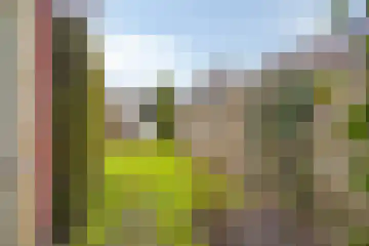 Bornkamp 19 Heerde thumbnail 36