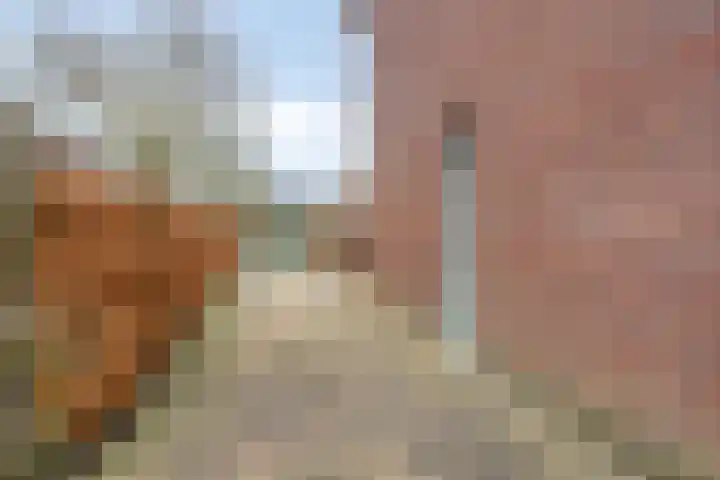 Bornkamp 19 Heerde thumbnail 37
