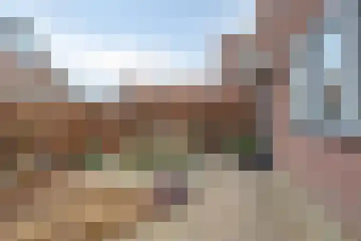 Bornkamp 19 Heerde thumbnail 38
