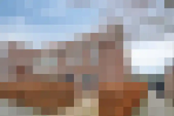 Bornkamp 19 Heerde thumbnail 40