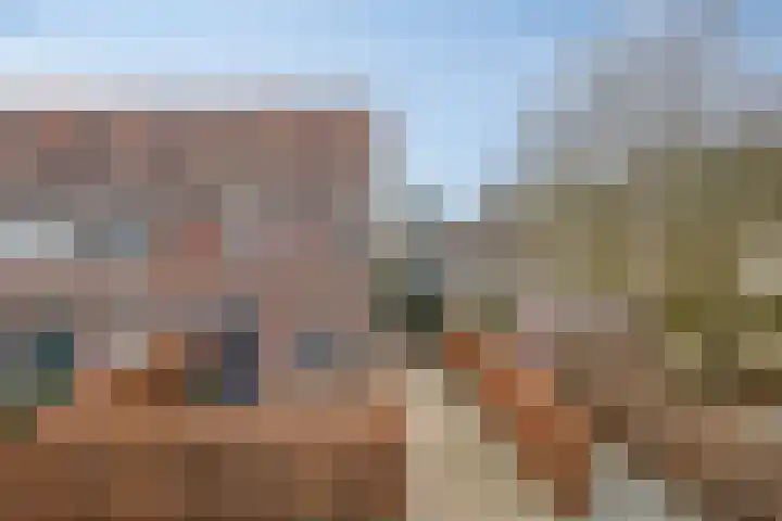 Bornkamp 19 Heerde thumbnail 41