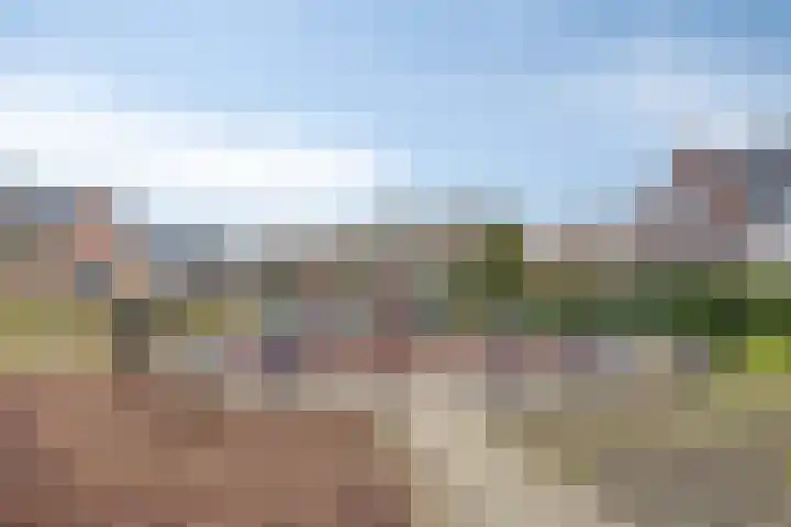 Bornkamp 19 Heerde thumbnail 45