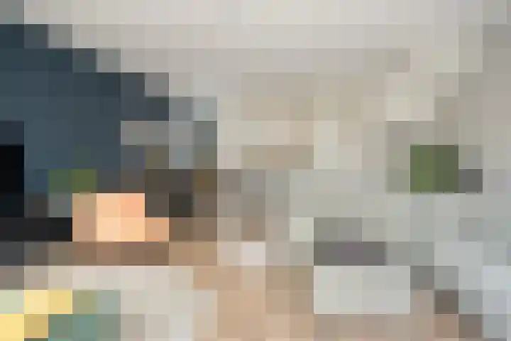 Bornkamp 19 Heerde thumbnail 6
