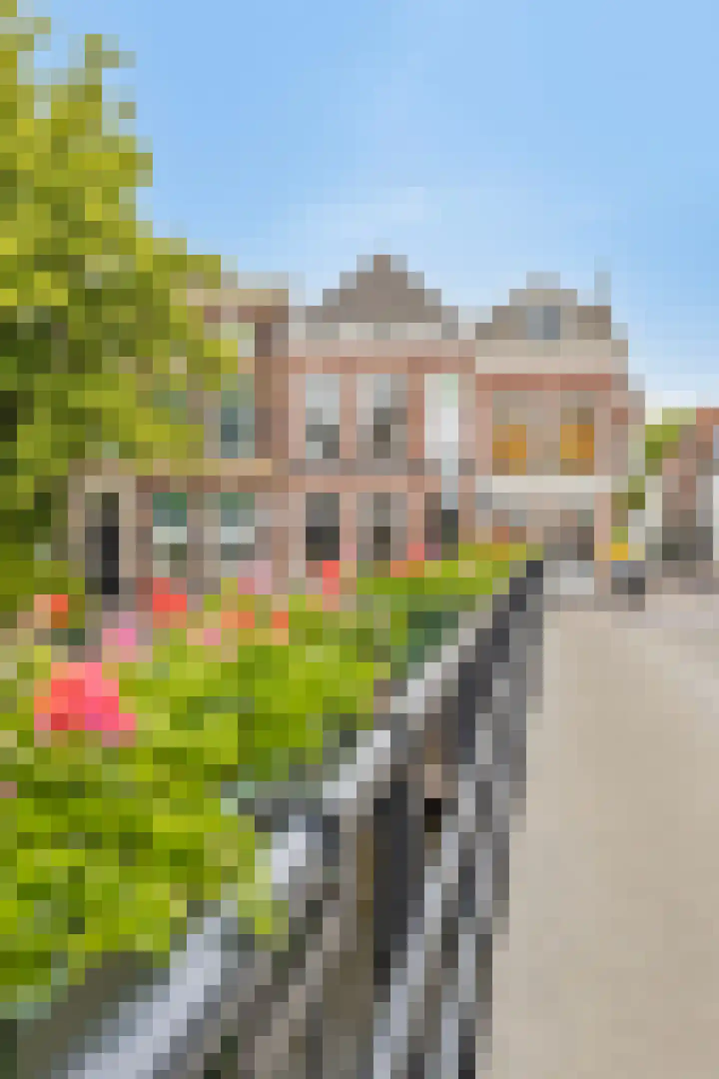 Bornsteeg 21 Gorinchem thumbnail 42