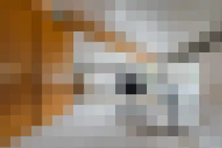 Boromir 20 Geldrop thumbnail 33