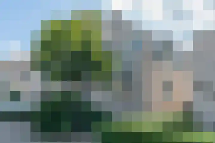 Boromir 20 Geldrop thumbnail 41