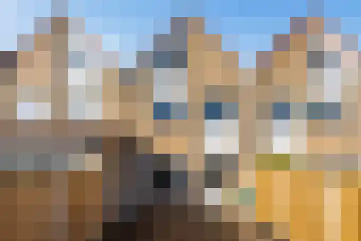 Borstelgrasstraat 37 Almere thumbnail 10
