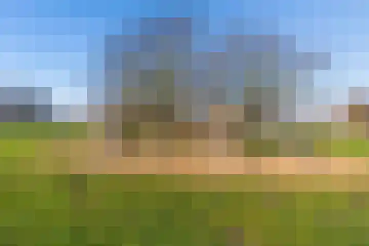 Borstelgrasstraat 37 Almere thumbnail 31