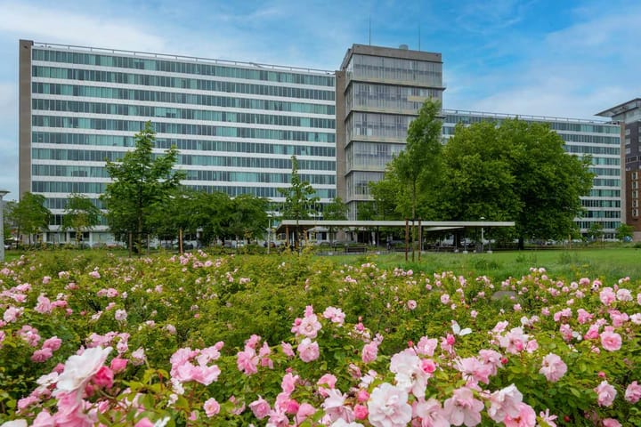 Bos en Lommerplantsoen 11D in Amsterdam foto