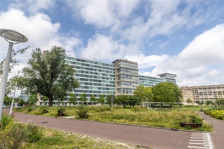 Bos en Lommerplantsoen 93N in Amsterdam foto