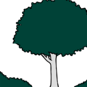 Logo Bos Makelaardij o.g.