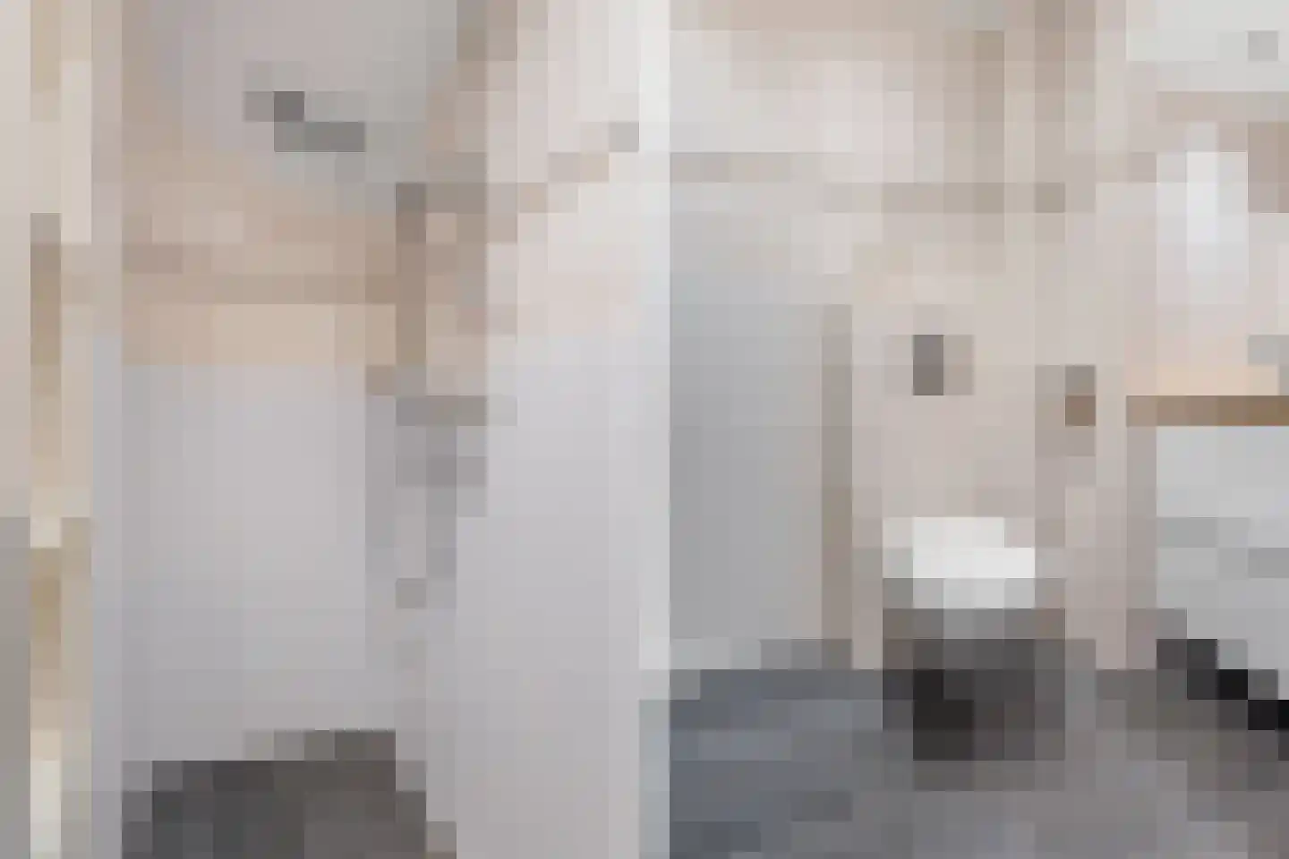 Bosanemoon 10 Deventer