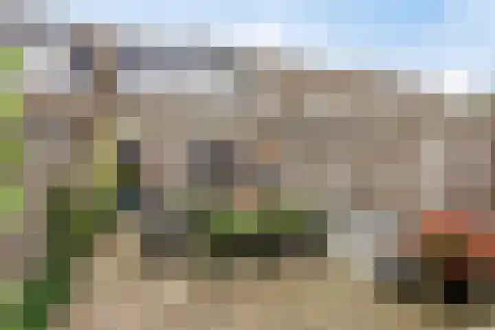 Bosanemoon 10 Deventer thumbnail 15