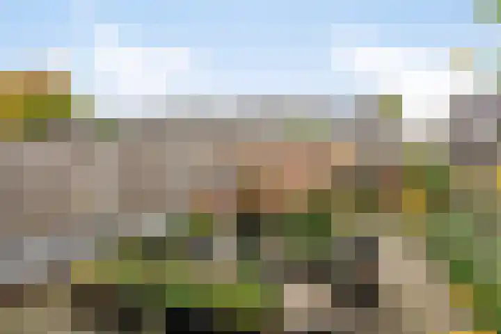 Bosanemoon 10 Deventer thumbnail 16