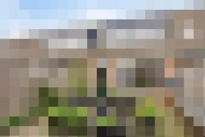 Bosanemoon 10 Deventer thumbnail 18