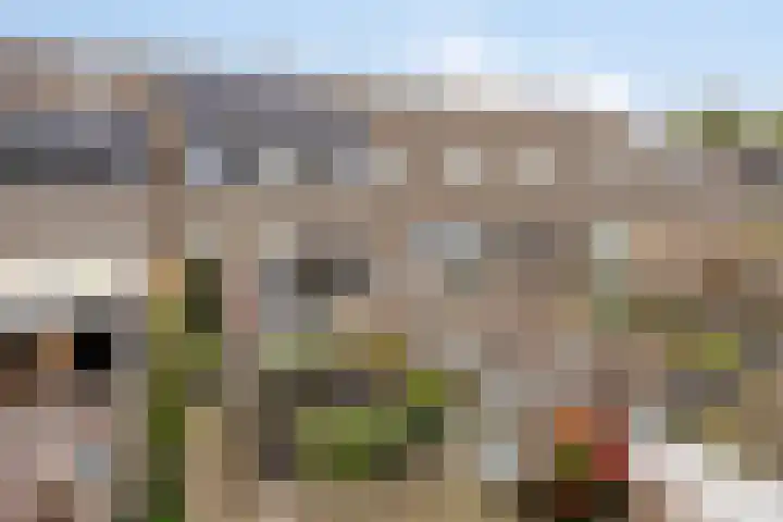 Bosanemoon 10 Deventer thumbnail 19