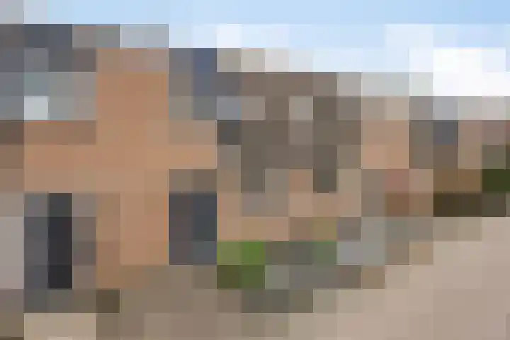 Bosanemoon 10 Deventer thumbnail 21