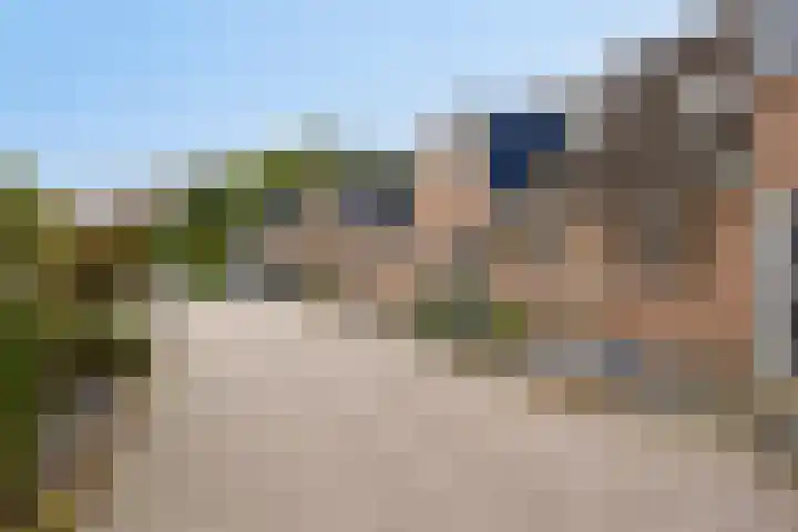 Bosanemoon 10 Deventer thumbnail 22