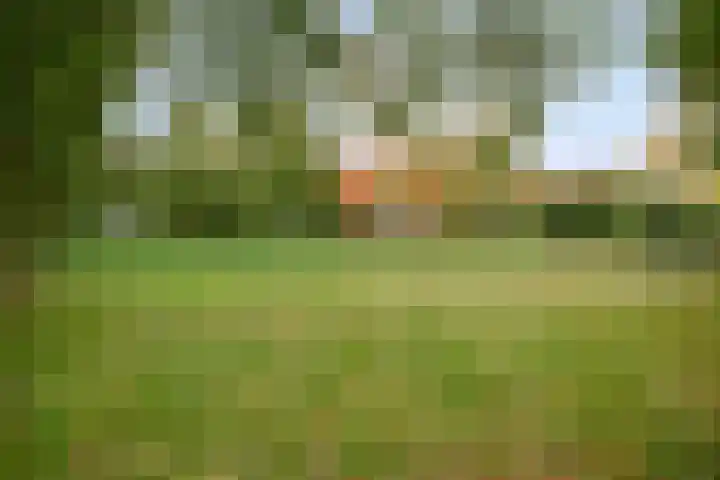 Bosanemoon 10 Deventer thumbnail 24