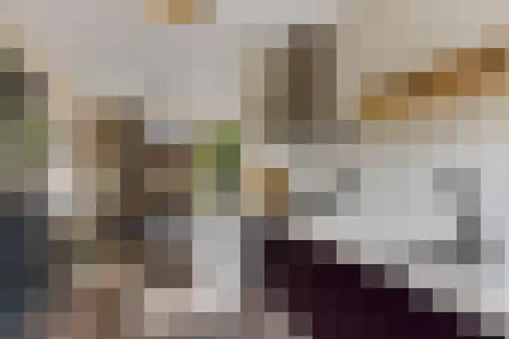 Bosanemoon 18 Assen thumbnail 11