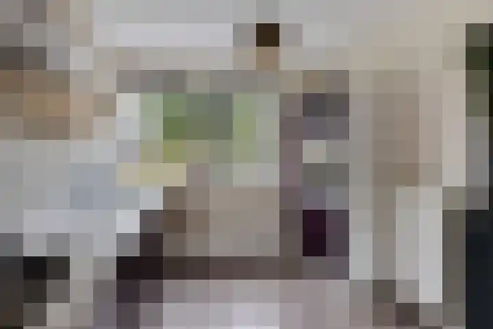 Bosanemoon 18 Assen thumbnail 12