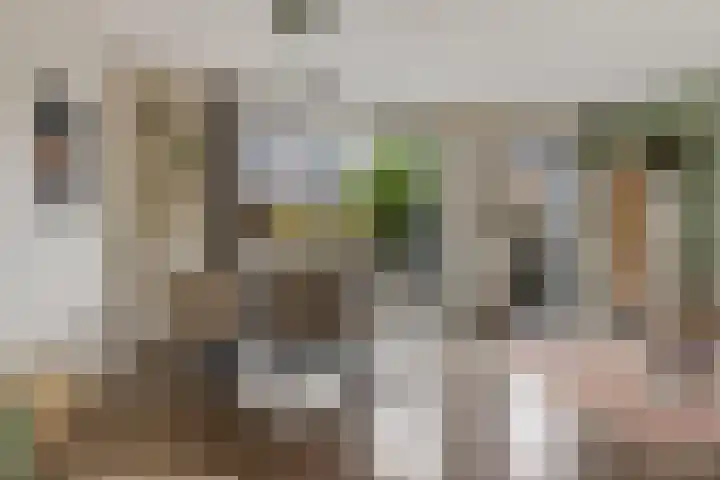 Bosanemoon 18 Assen thumbnail 13