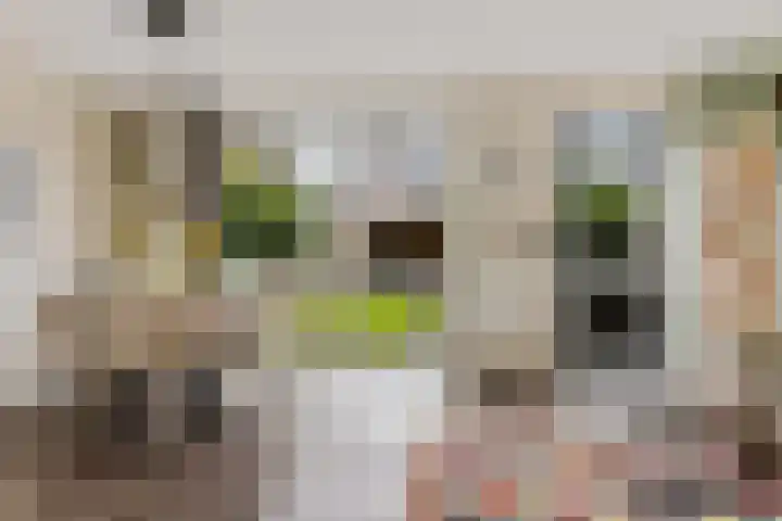 Bosanemoon 18 Assen thumbnail 15