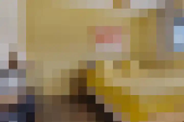 Bosanemoon 18 Assen thumbnail 21