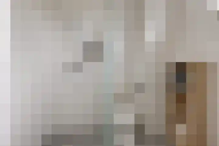 Bosanemoon 18 Assen thumbnail 25