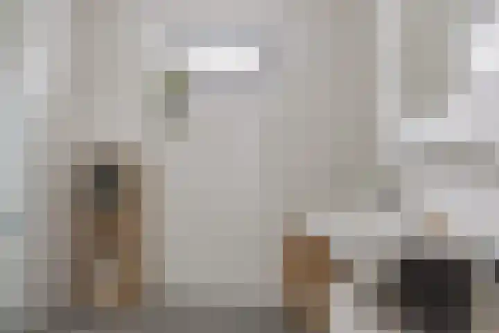 Bosanemoon 18 Assen thumbnail 26