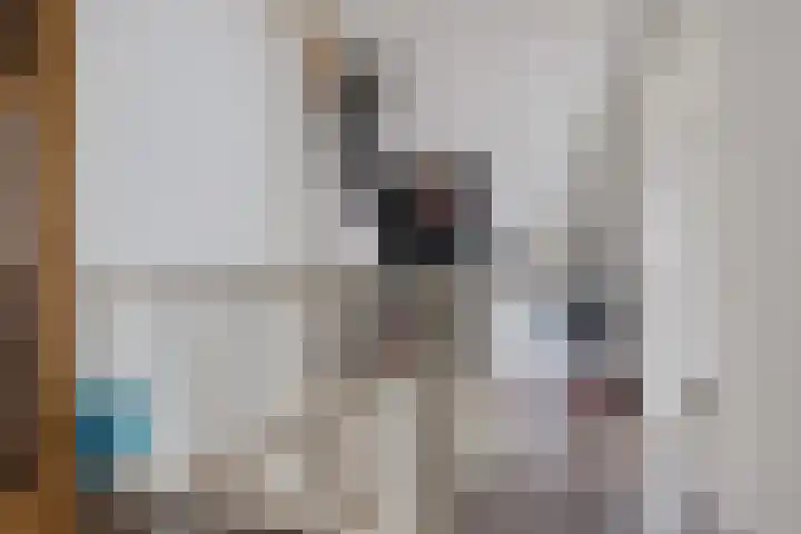 Bosanemoon 18 Assen thumbnail 28