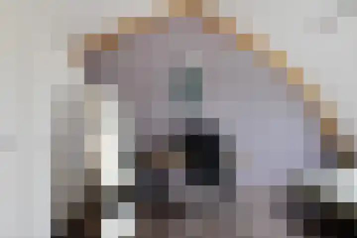Bosanemoon 18 Assen thumbnail 32