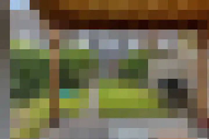 Bosanemoon 18 Assen thumbnail 36
