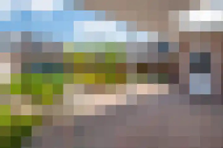 Bosbeek 10 Geleen thumbnail 29