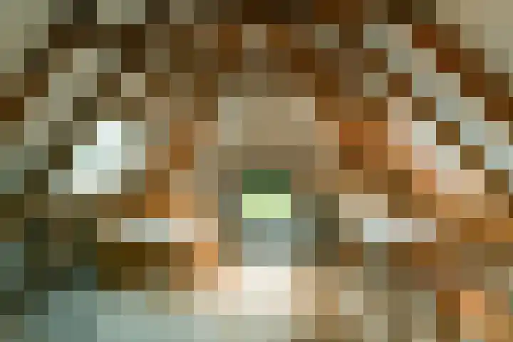 Bosbeekweg 23 Bennekom thumbnail 41