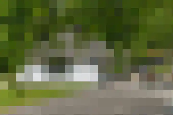Bosbeekweg 23 Bennekom thumbnail 45