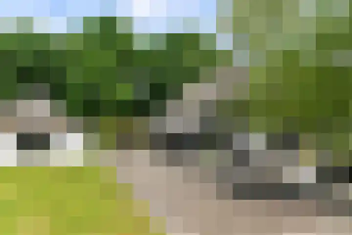 Bosbeekweg 23 Bennekom thumbnail 60