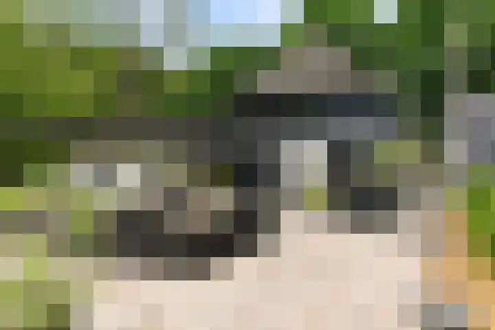 Bosbeekweg 23 Bennekom thumbnail 61