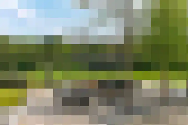 Bosbeekweg 23 Bennekom thumbnail 62