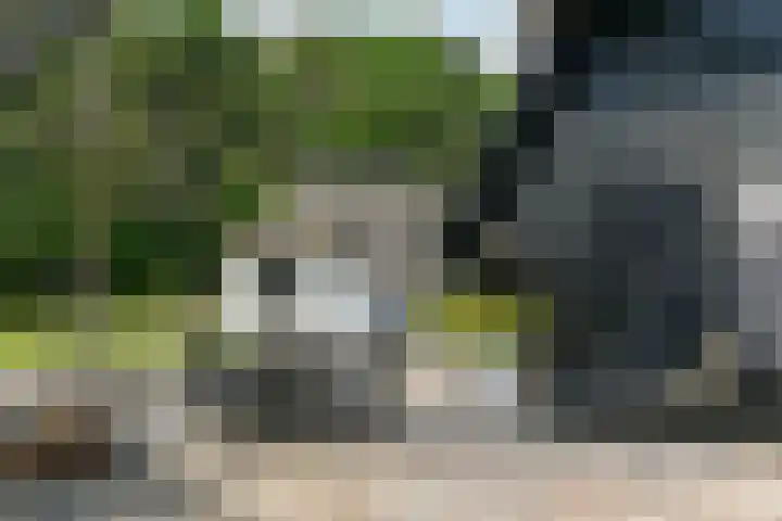 Bosbeekweg 23 Bennekom thumbnail 64