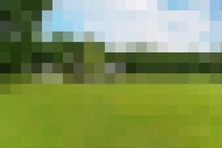 Bosbeekweg 23 Bennekom thumbnail 71