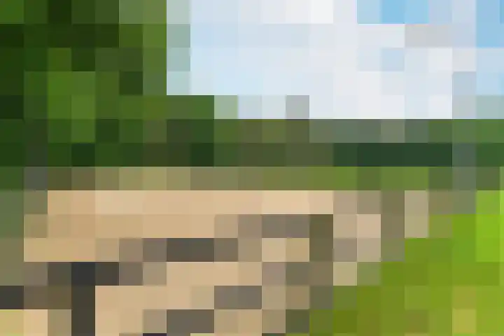 Bosbeekweg 23 Bennekom thumbnail 73
