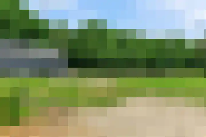 Bosbeekweg 23 Bennekom thumbnail 74