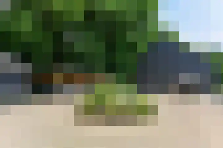 Bosbeekweg 23 Bennekom thumbnail 76