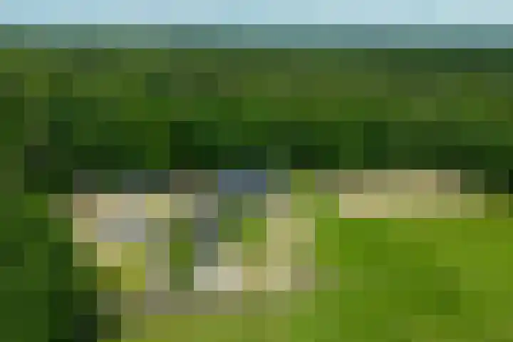 Bosbeekweg 23 Bennekom thumbnail 8
