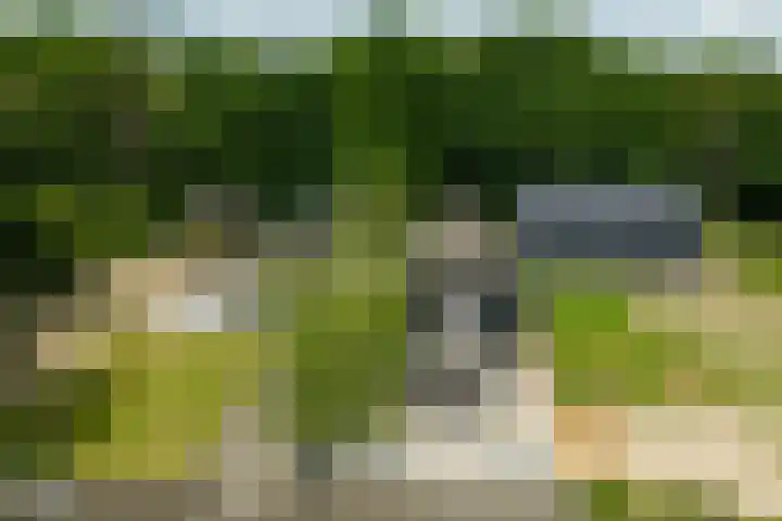 Bosbeekweg 23 Bennekom thumbnail 9
