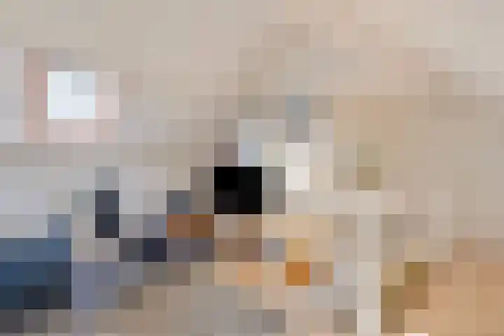 Bosberg 13 Kerkrade thumbnail 29