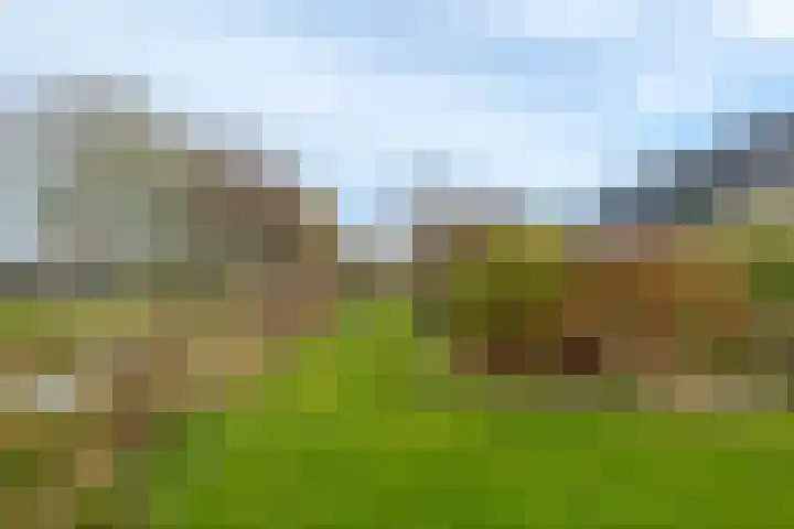 Bosberg 13 Kerkrade thumbnail 37